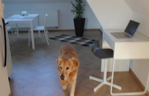 Fuerstenfeld Apartment | Haus Semmi