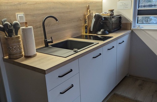 Papenburg Apartment | Hausboot für 6 Gäste mit 32m² in Papenburg