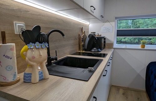 Papenburg Apartment | Hausboot für 6 Gäste mit 32m² in Papenburg