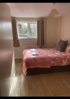 Margam Bed & Breakfast | Haven of Trees - Hafan Y Coed