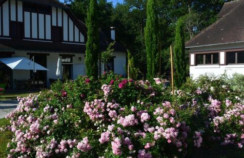 Ligny-le-Ribault Bed & Breakfast | Havre de paix avec jardin, entre châteaux et golfs - FR-1-590-297
