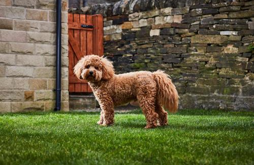 Ogden House | Haworth Home - Hot tub Cinema Games Room Sleeps 12