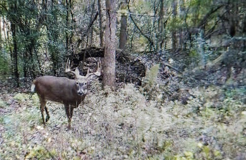Sparta House | Heartland hideaway, 3 miles from Sparta walking trails beautiful pond, wildlife