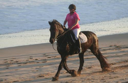 Port Elizabeth Apartment | Heavenly Stables Self Catering Accommodation