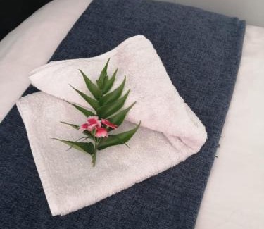 Port Elizabeth Apartment | Heavenly Stables Self Catering Accommodation