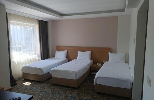 Altinova Hotel | Helenapolis Otel