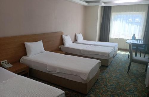 Altinova Hotel | Helenapolis Otel