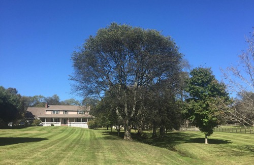 Hendersonville House | Hendersonville Ranch Getaway that is just 30 minutes from Music City