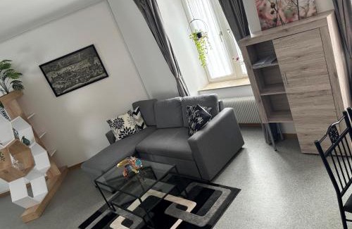 Muennerstadt Apartment | Henneberger Hof