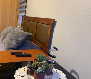 Concepcion Apartment | Hermosa vista laguna tres Pascualas