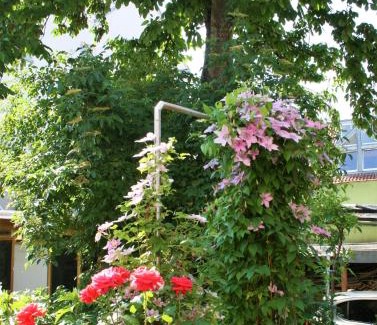 Worms Apartment | Herrenhof