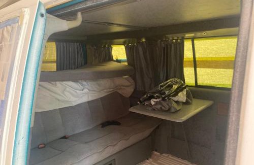 Almont Other | Heyward Camper Host