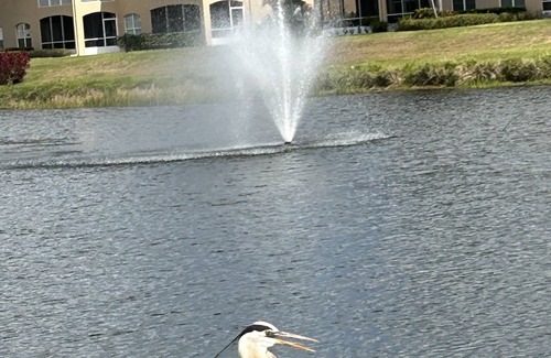 Bradenton Condo | Hidden Lake Condo 5 miles to Anna Maria Island