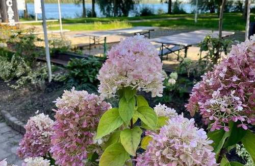 Vynen House | HIDO Hotel