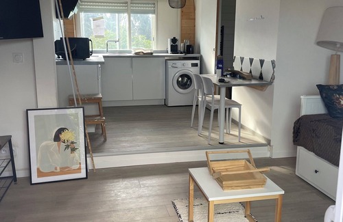 Castelginest Apartment | High studio 15 mn from Toulouse in castelginest