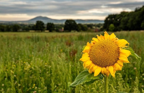 Wichenford Other | Hillside View Shepherds Hut - Ockeridge Rural Retreats
