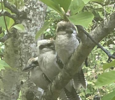 Stirling Bed & Breakfast | Hilltop