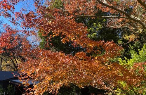 Stirling Bed & Breakfast | Hilltop