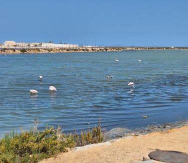 Torre-Pacheco Apartment | Hilly's Place