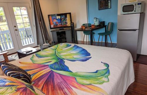 Hilo Apartment | Hilo Luxury Suite