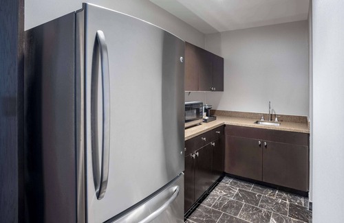 Houston Convention District Hotel | Hilton Americas-Houston