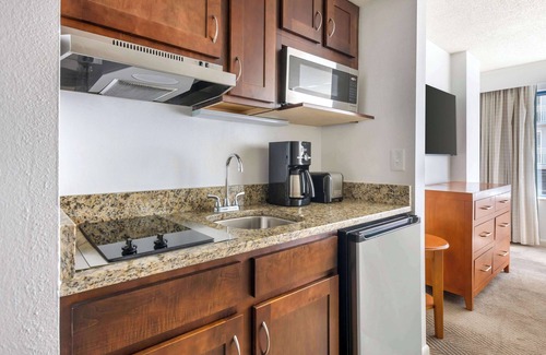 Brush - Stewarts Resort | Hilton Vacation Club Daytona Beach Regency