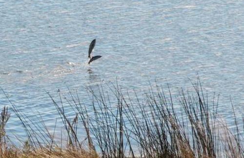 Astoria Apartment | Historic Astoria Waterfront Views & Vintage Vibes