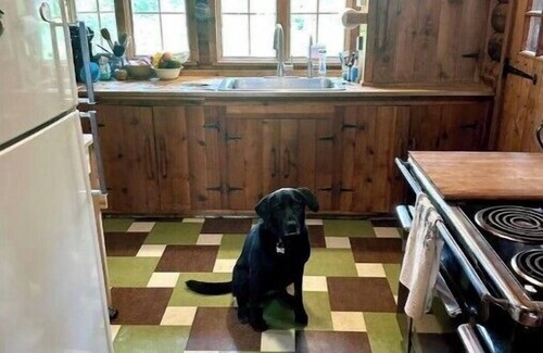 Ely Cabin | Historic Family Cabin on Lake Burntside