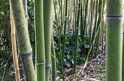 Bettolelle Apartment | Historic farmhouse in Senigallia close to seaside and downtown