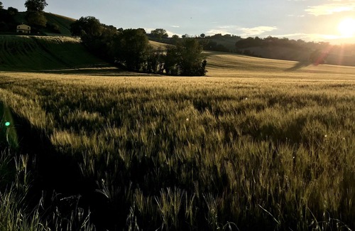 Bettolelle Apartment | Historic farmhouse in Senigallia close to seaside and downtown