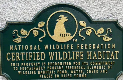 Downtown Riverside Apartment | Historic Mission Bungalows 2