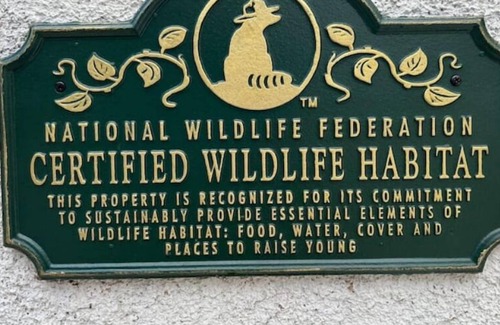 Downtown Riverside Apartment | Historic Mission Bungalows 1