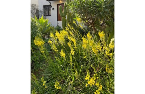 Downtown Riverside Apartment | Historic Mission Bungalows 1