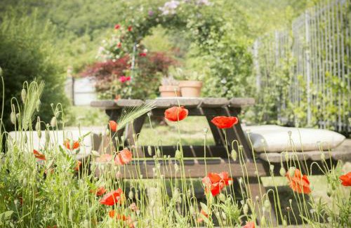 Borgo San Lorenzo House | Historic Villa In The Florence Hills