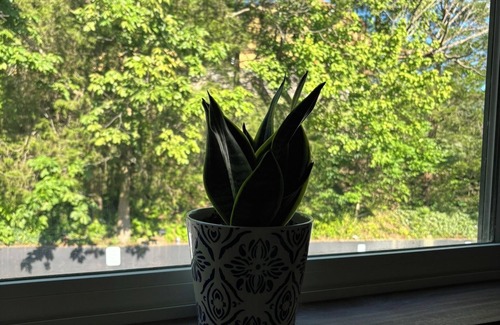 Madison Apartment | Historic woodside view suite 205, Historic woodside view suite 205