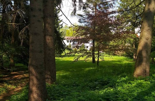 Bad Sachsa Apartment | Hochwald-Riant apartment with balcony on the garden side