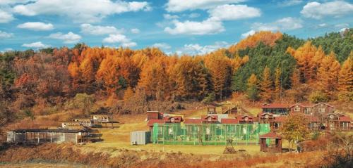 Hoengseong House | Hoengseong Nature Healing Pool Villa