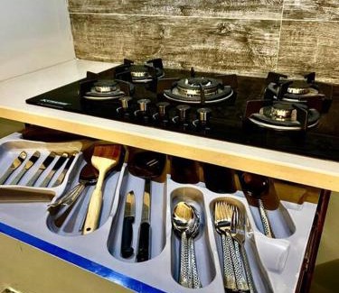 Islamabad Villa | Hoga Style 1