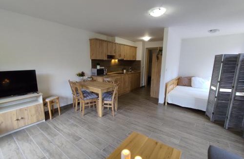 Zelezna Ruda Apartment | Hojsova Stráž Brčálník Apartmán Hannzi