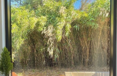 Hallim House | <hokomman> Can use outdoor bathtub in private B&B