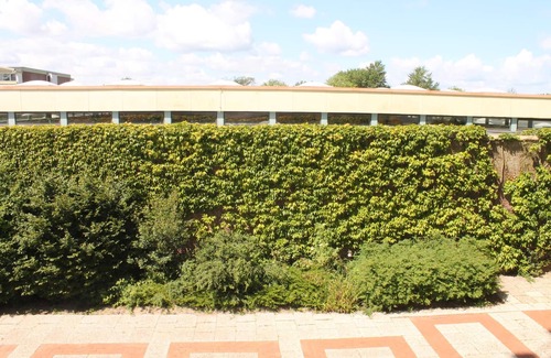 Holm Apartment | Holiday apartment K112 for 2-4 persons near the beach