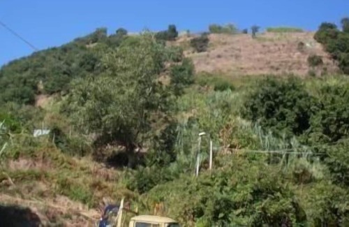 Barano d'Ischia House | Holiday apartment Barano d'Ischia for 4 persons with 1 bedroom - Holiday house