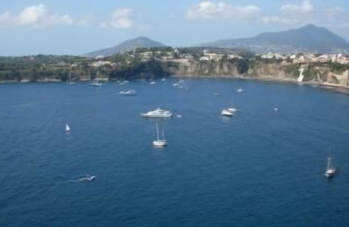 Barano d'Ischia House | Holiday apartment Barano d'Ischia for 4 persons with 1 bedroom - Holiday house