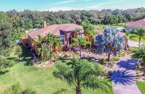 New Port Richey Apartment | Holiday apartment New Port Richey for 1 - 2 persons with 1 bedroom - Holiday apartment