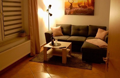 Pobershau Apartment | holiday apartment/apt. for 6 guests with 63m² in Pobershau (161005)