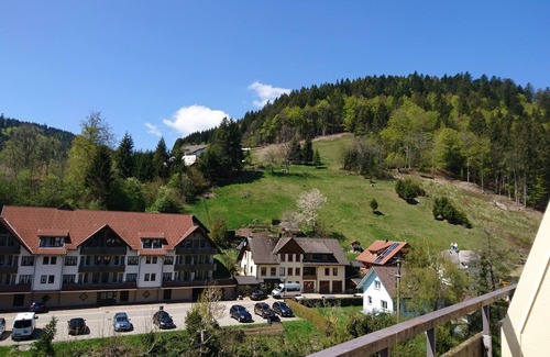 Todtmoos Apartment | holiday apartment/apt. for 6 guests with 70m² in Todtmoos (184961)
