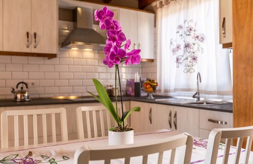 Arecida Apartment | Holiday Apartment “Casa Quintana - Apartamento Carla” with Sea View