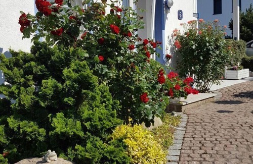 Dranske House | Holiday apartment Dranske for 1 - 3 persons with 2 bedrooms - Holiday house