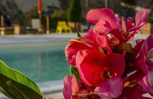 Stacciola Other | Holiday apartment San Costanzo for 1 - 5 persons with 3 bedrooms - Farmhouse