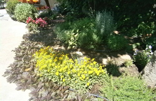 Povile House | Holiday apartment Povile for 1 - 5 persons with 2 bedrooms - Holiday house